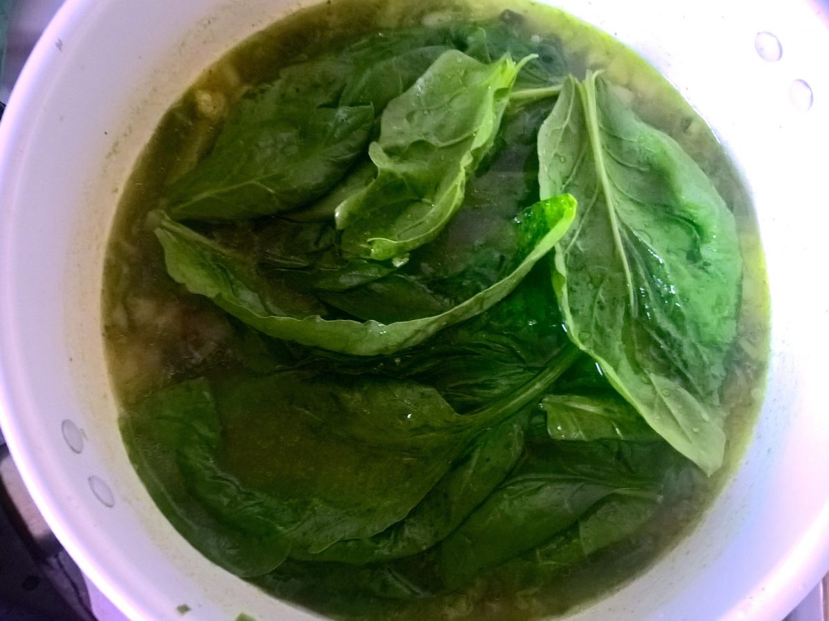 Green-Beauty-Vegan-Soup